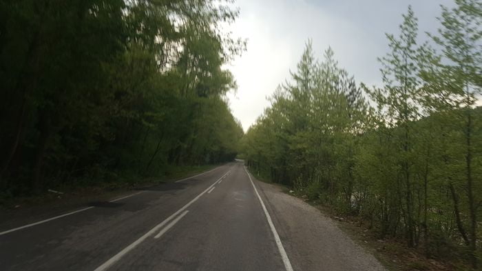 Fransız Aydınlarının Etkisi