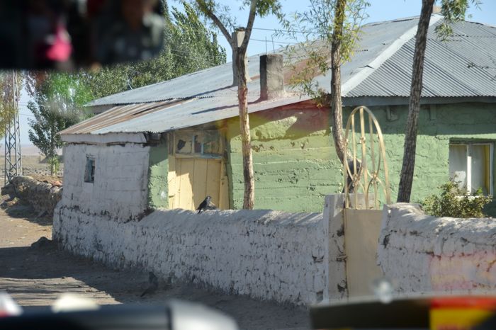image-.jpg