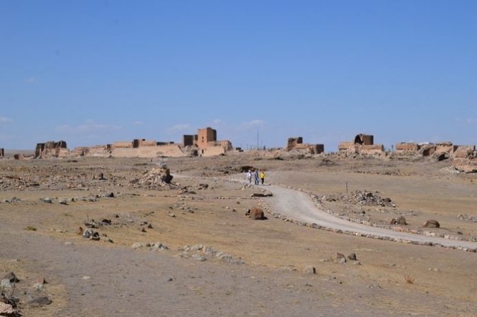 image-.jpg