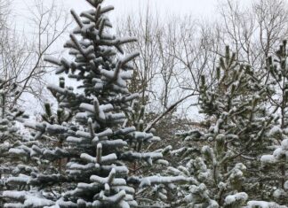 Pagan Dünyadan Hıristiyanlığa Geçiş