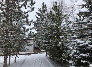 Perge Stadyumu’nun Mimari Özellikleri