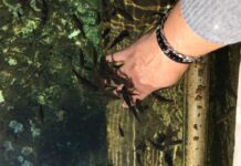 Tur Sonu ve Şoförün Yoğun Programı