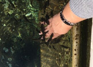 Tur Rehberliği ve Şoför Deneyimleri