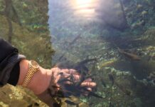 Kazanhan Restoranları Antalya’da 40 Yıllık Lezzet Tecrübesi